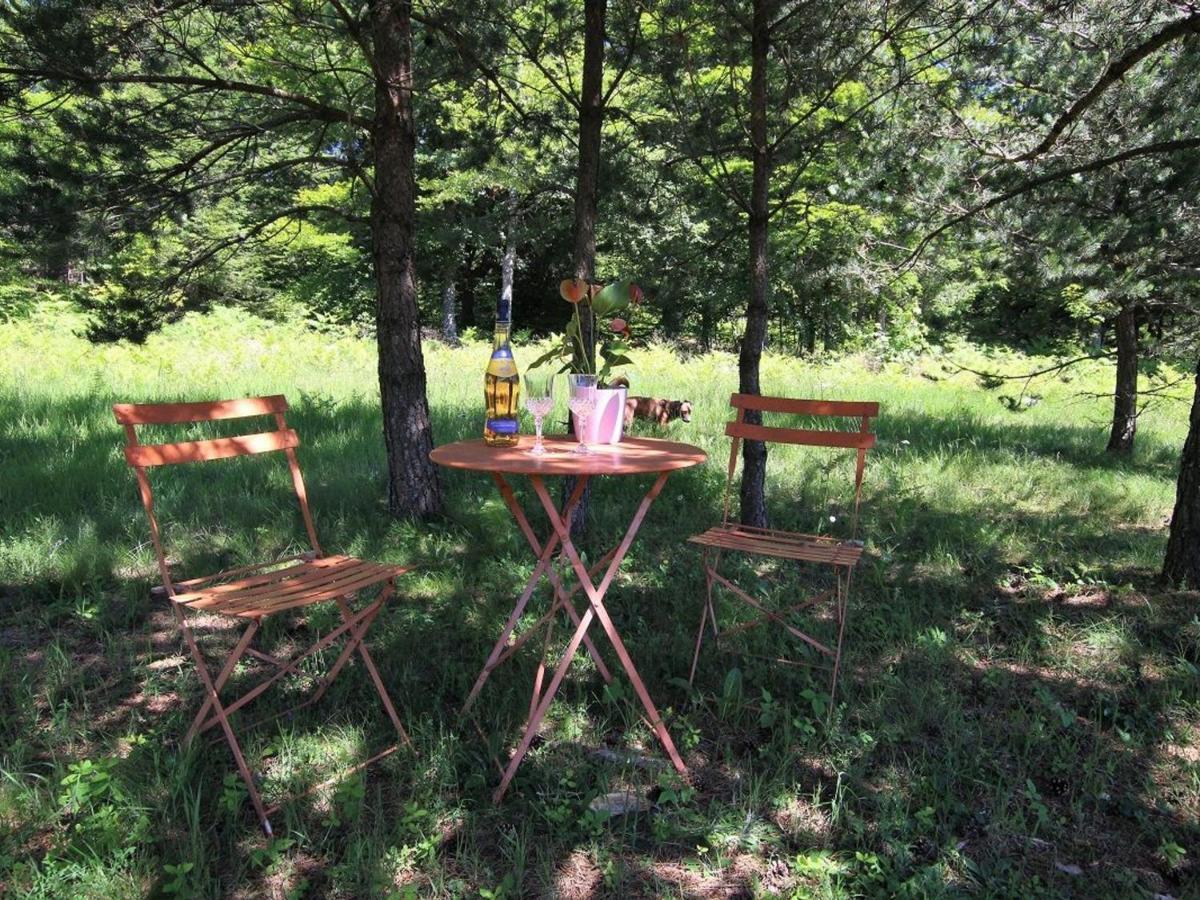 Gite Nature Au Chambon-Sur-Lignon: Terrasse, Wifi, Proche Activites Et Commerces - Fr-1-582-137 Le Chambon-sur-Lignon Luaran gambar